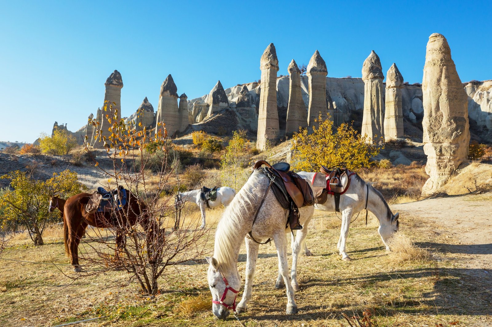 Cappadocia